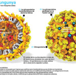 chikungunya