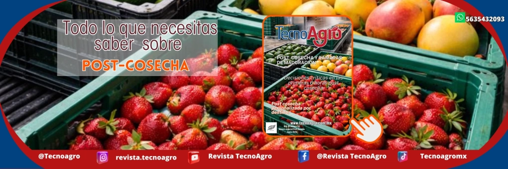 slider-revista-enero2026